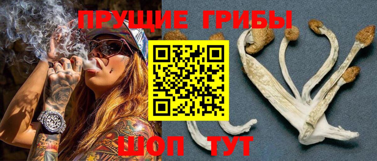 Псилоцибиновые грибы мухоморы Нурлат