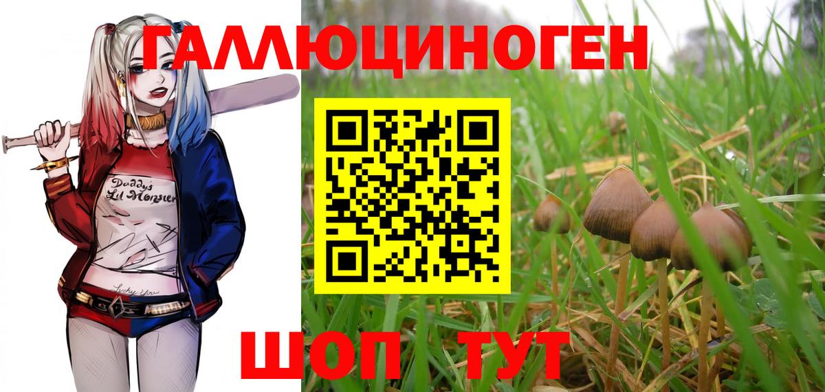 Галлюциногенные грибы ЛСД  Вход с VPN  Нурлат 